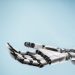 AI that can match humans at any task will be here in five to 10 years, Google DeepMind CEO says