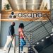 Asana stock price forecast ahead of earnings: is it a good buy?