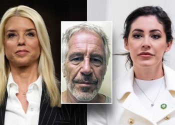Feds accused of destroying Epstein evidence put on notice by GOP firebrand