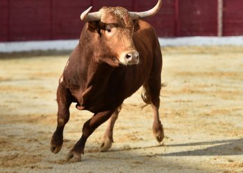 Baidu shares surge 10.7% on Tuesday: here’s why