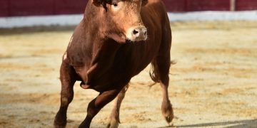 Baidu shares surge 10.7% on Tuesday: here’s why