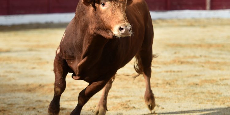 Baidu shares surge 10.7% on Tuesday: here’s why