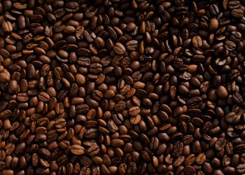 Global coffee crisis brews as soaring prices disrupt supply chains and rattle industry