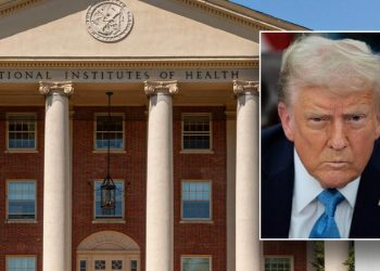 HHS slashes over $350M in grant funding for gender ideology, DEI research projects