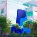 Here’s why the PayPal stock price has crashed and what to expect