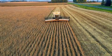 US soybean market rattled as China strikes with fresh tariffs