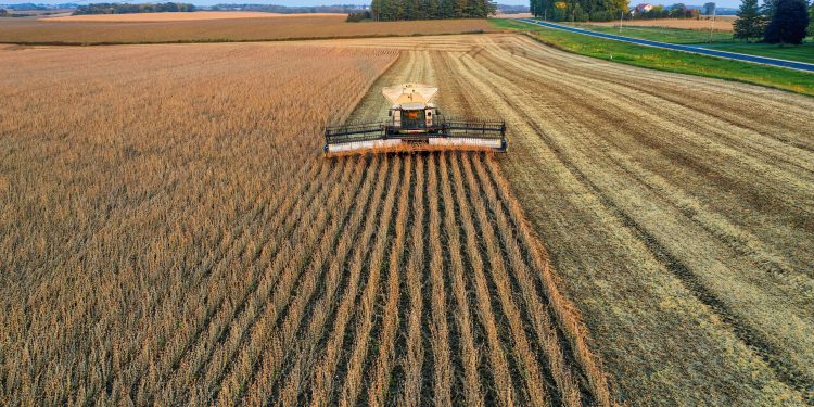 US soybean market rattled as China strikes with fresh tariffs