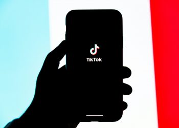 AppLovin CEO explains why his proposal for TikTok is better than rival bids