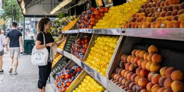 U.S. farm agency allows six more states to bar some items from food aid