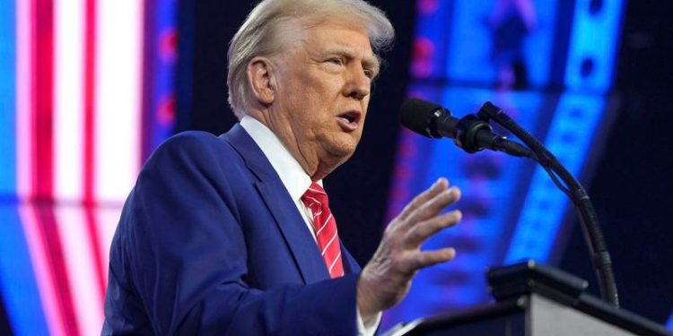 Trump tells Grassley to tell Democrats ‘go to HELL’ over blocked judicial nominees in Senate