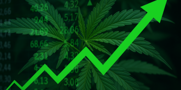 Cannabis stocks surge as Trump signals shift on US marijuana policy