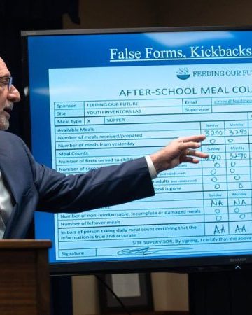 One chart lays bare the sprawling fraud network Minnesota officials missed
